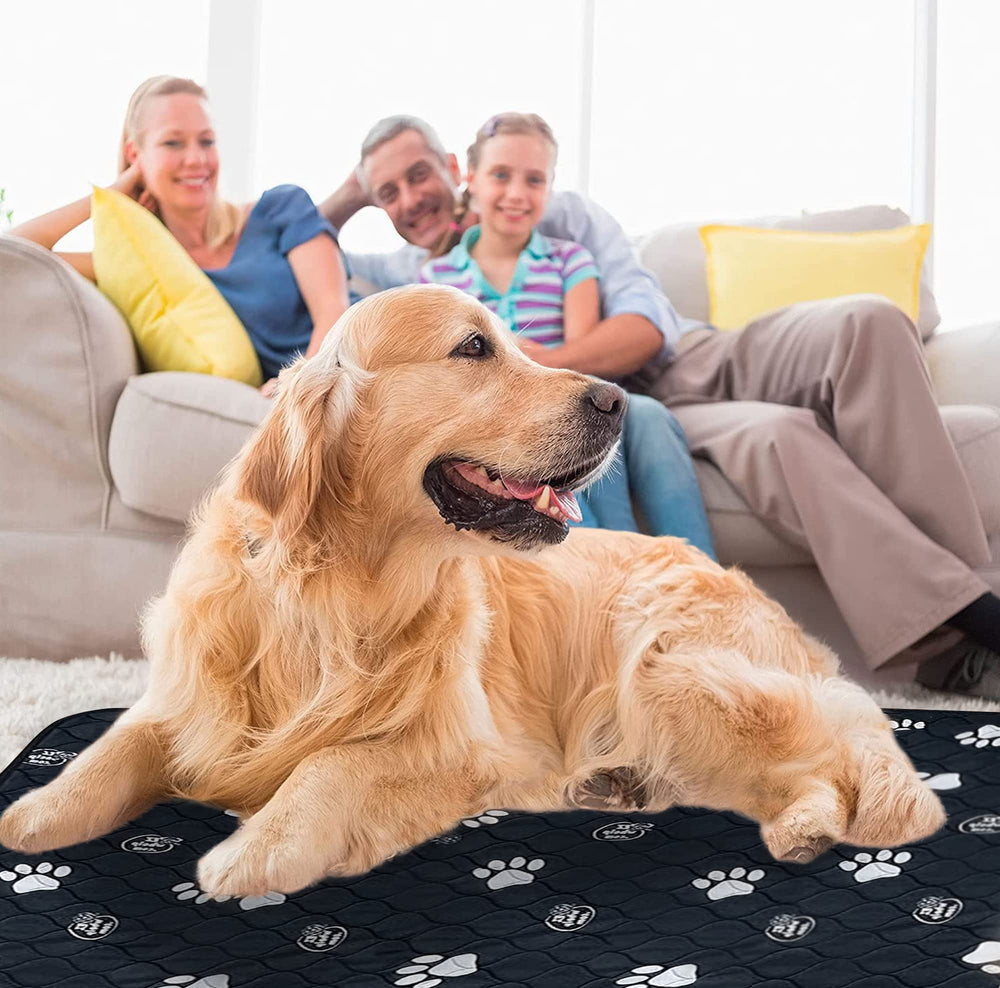 EZwhelp tapis dans une boîte de whelping pour chiots.