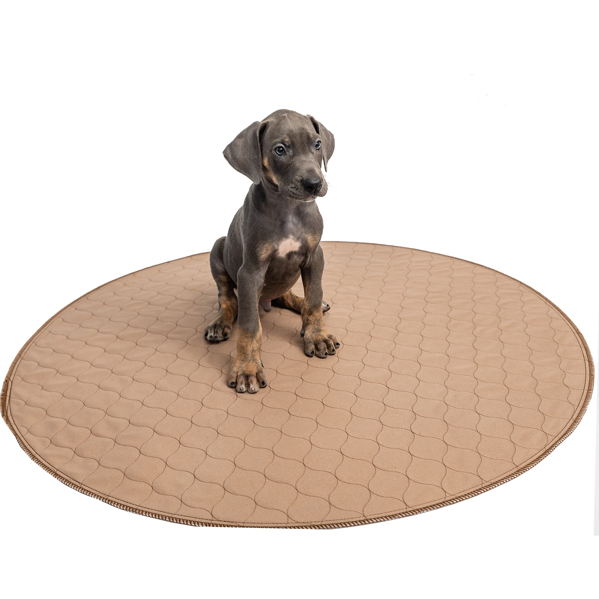 EZwhelp tapis pipi certifié OEKO-TEX, qualité textile et sécurité.