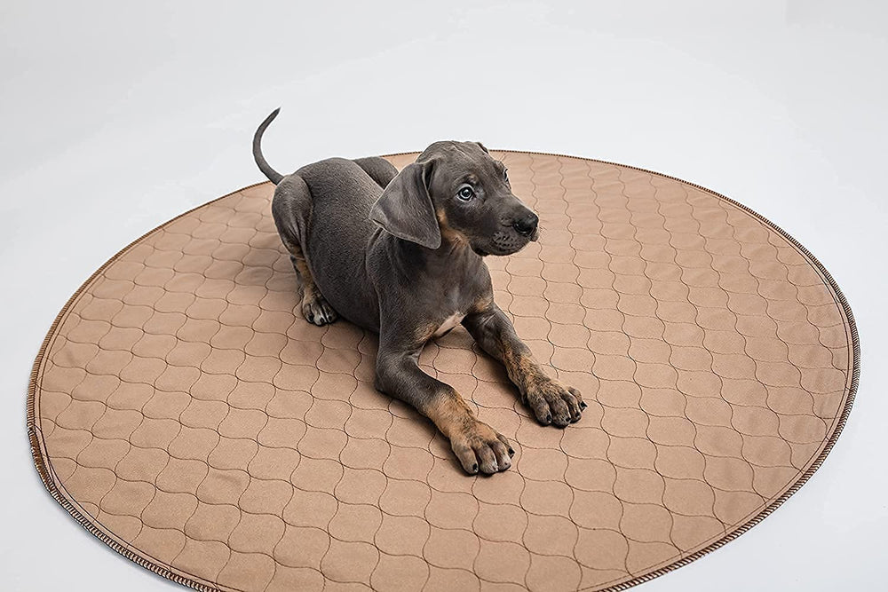 EZwhelp tapis pipi polyvalent, adapté à plusieurs animaux domestiques.