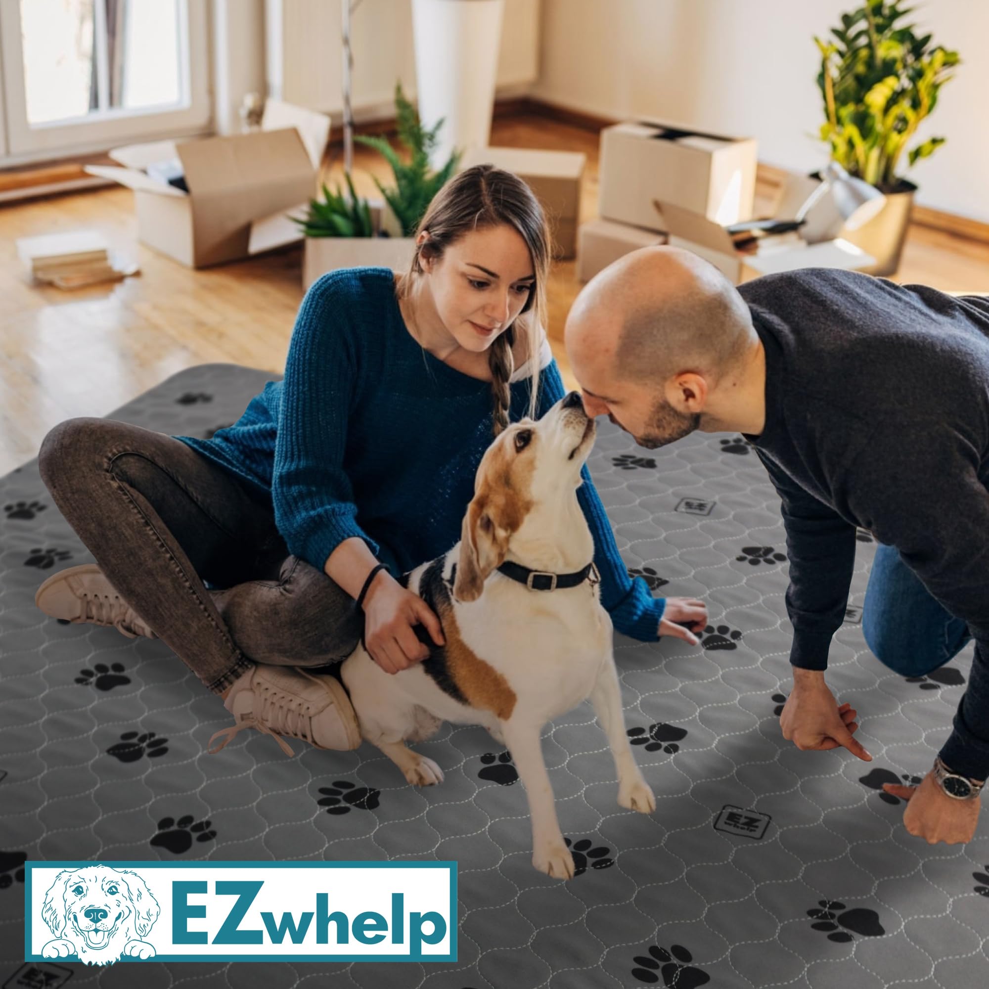 Conçu pour chats et chiens, usage domestique pratique.