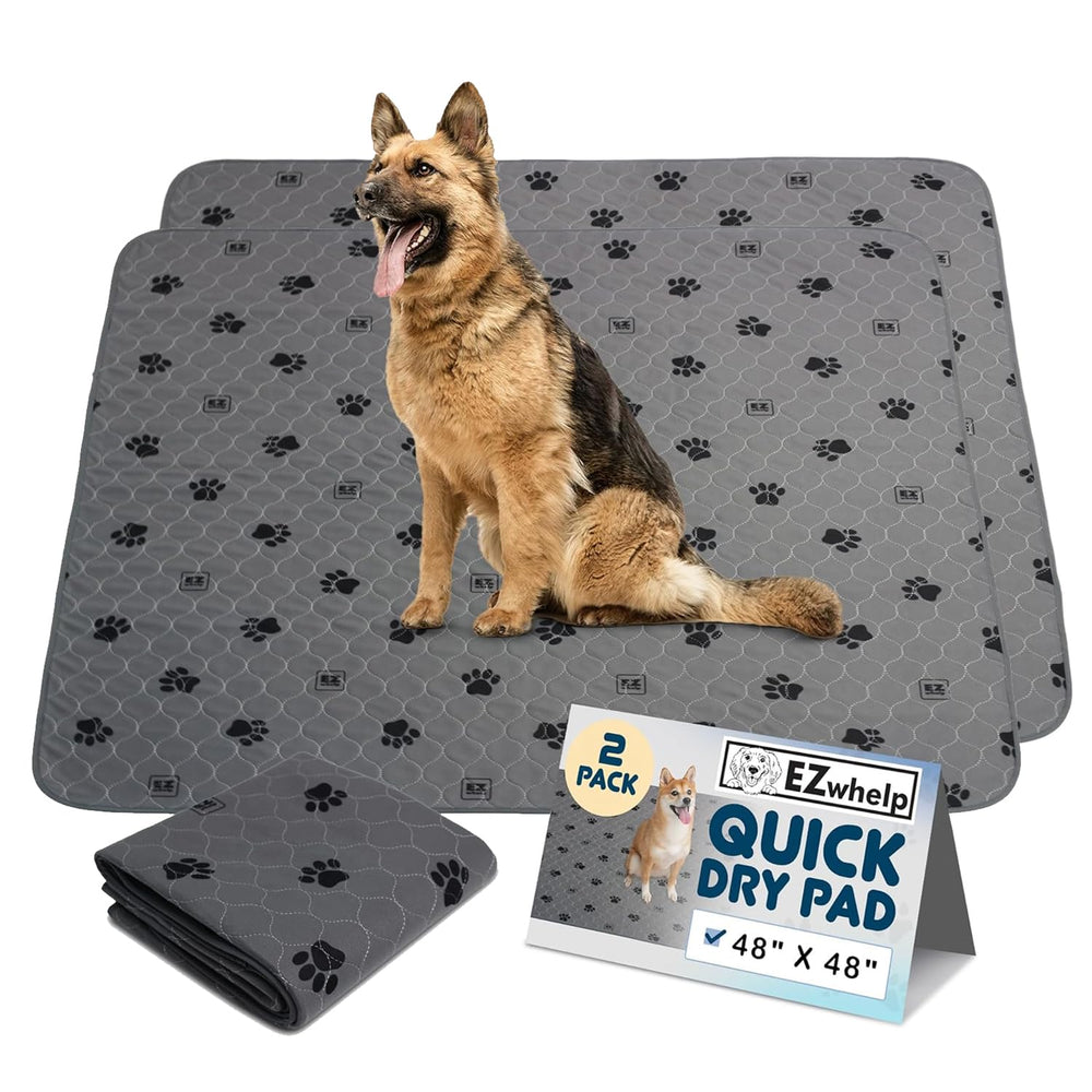 Tapis EZwhelp pour chien, tapis-toilette réutilisable, pratique.
