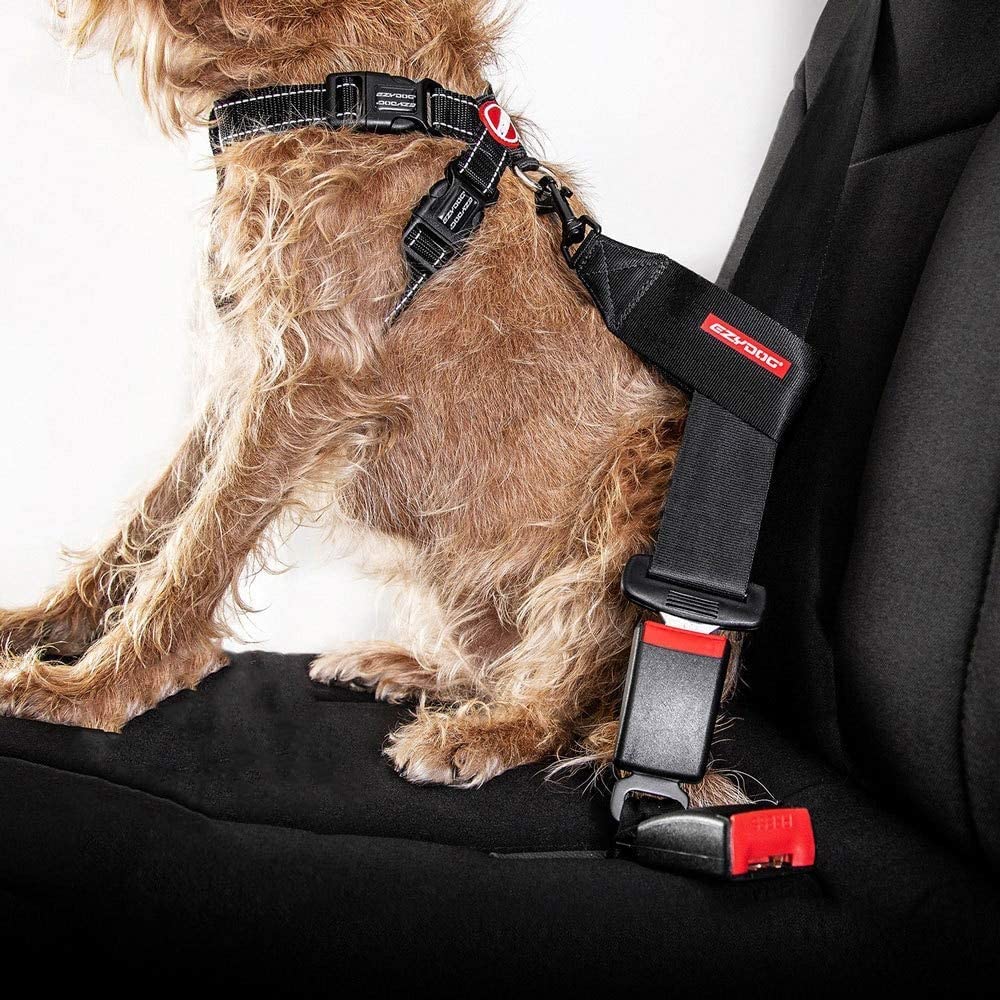 EzyDog attache boucle acier inoxydable pour fixation fiable.