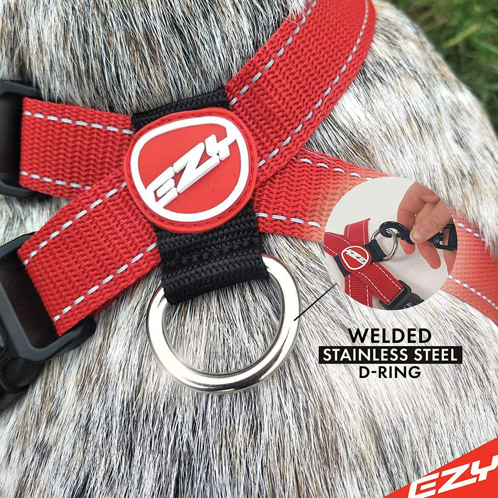 Harnais EzyDog boucles ouverture rapide, mise en place rapide.