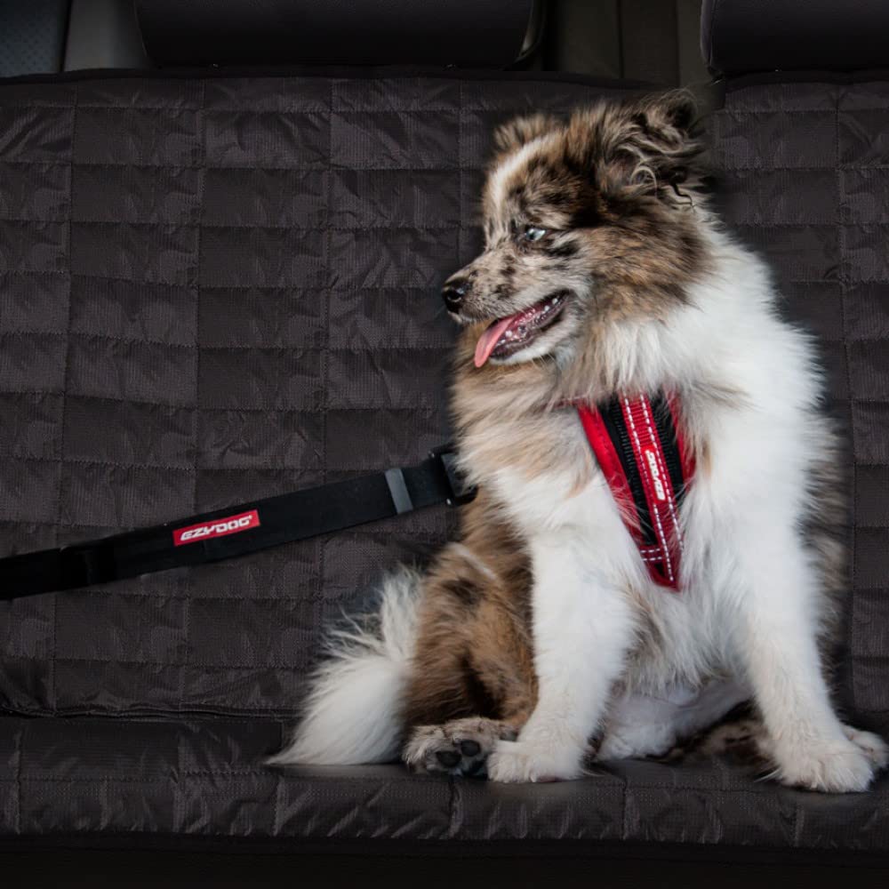 Conception confortable qui permet au chien de s’asseoir ou se coucher