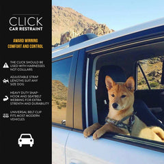 EzyDog Click : boucle de sécurité en acier, fixation robuste