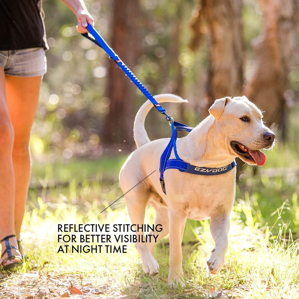 EzyDog Quick Fit : confort quotidien lors des balades et entraînements.