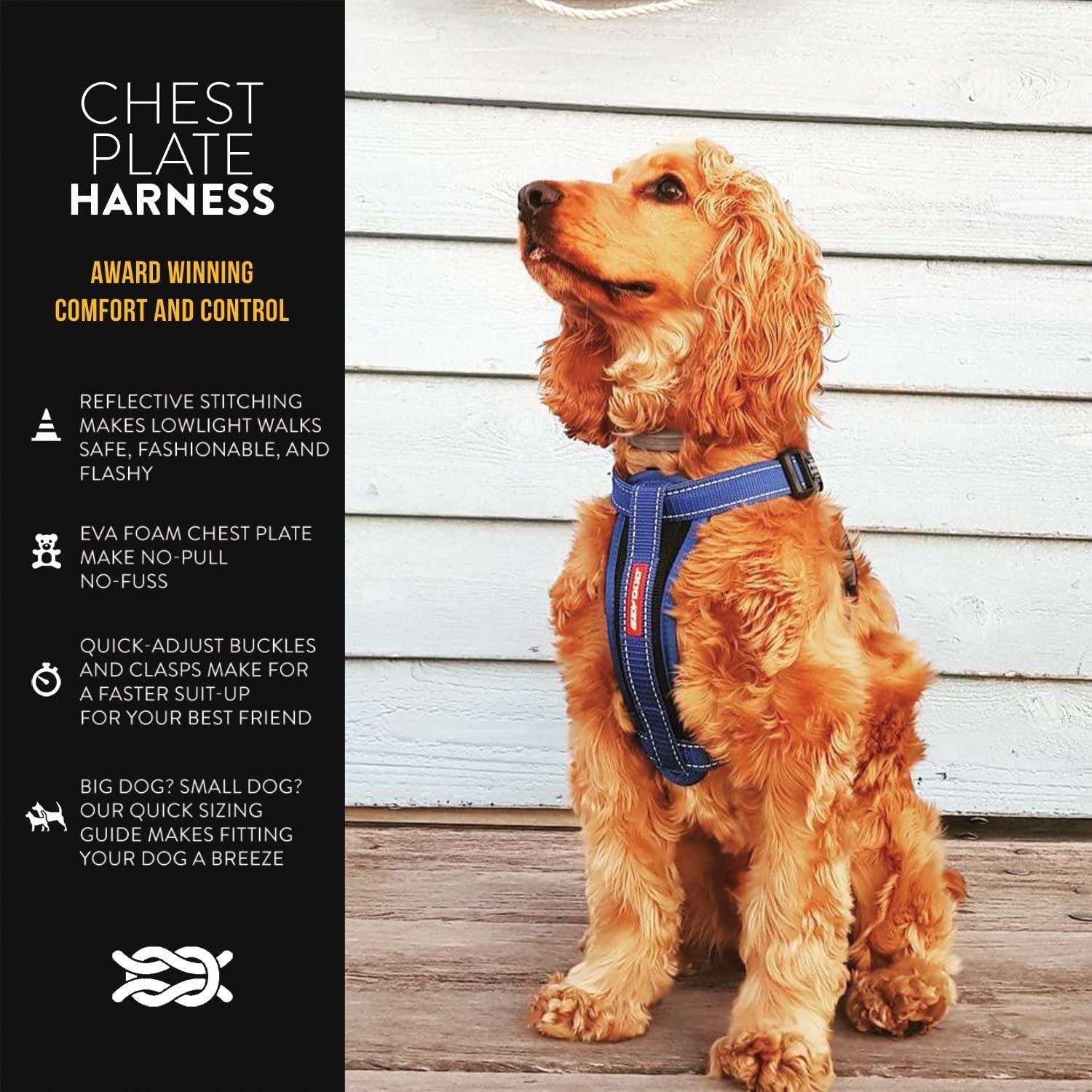 Harnais EzyDog avec coutures réfléchissantes pour meilleure visibilité nocturne.