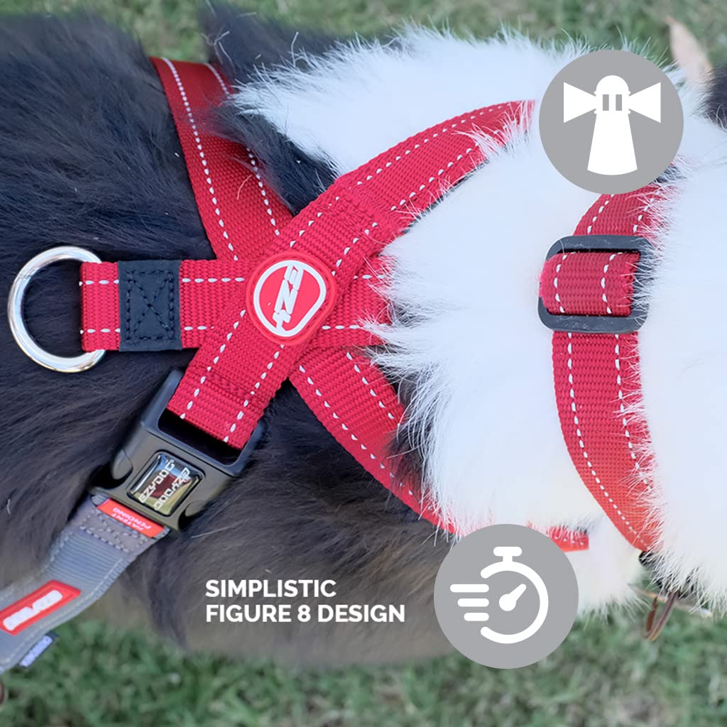 EzyDog Crosscheck anneau-dos-double, deux points d attache polyvalents