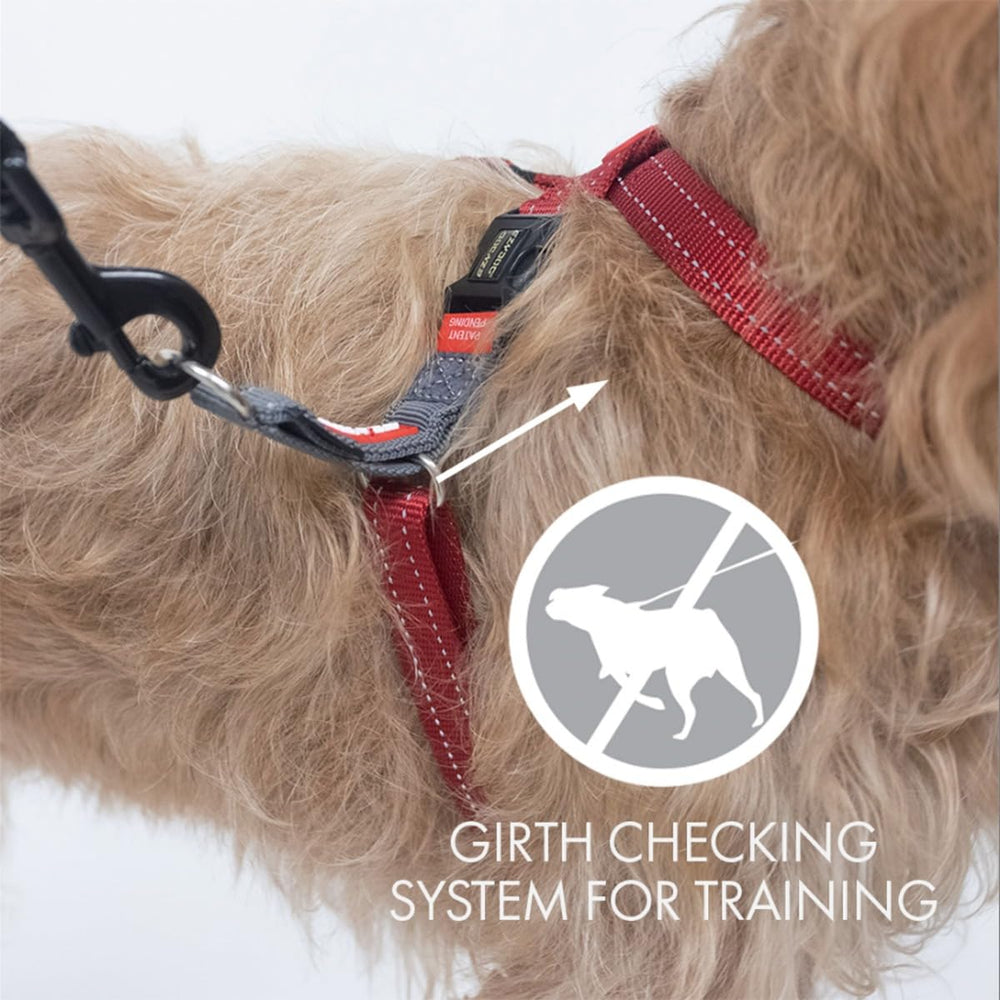 EzyDog Crosscheck design-figure-8, empêche les tentatives d evasion
