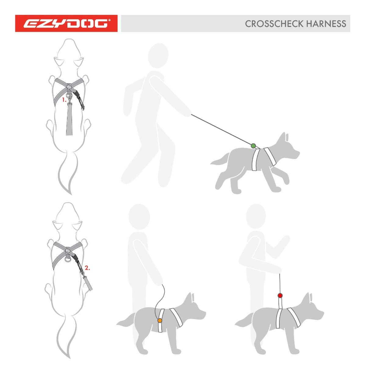 Harnais EzyDog Crosscheck avec l’anneau dorsal pour les promenades quotidiennes.