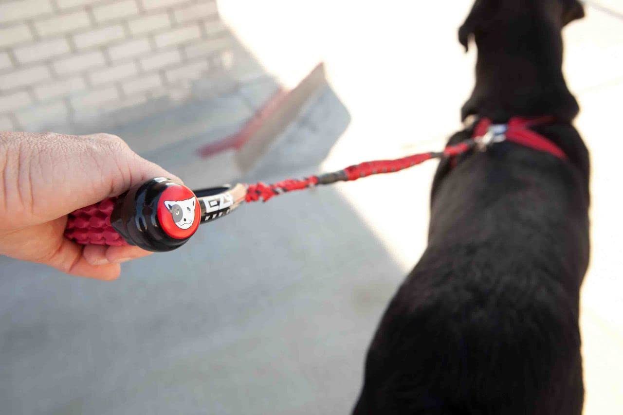 EzyDog Cujo : corde en polypropylène durable pour une utilisation longue durée.
