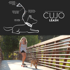 EzyDog Cujo : trame réfléchissante intégrée pour une meilleure visibilité nocturne.
