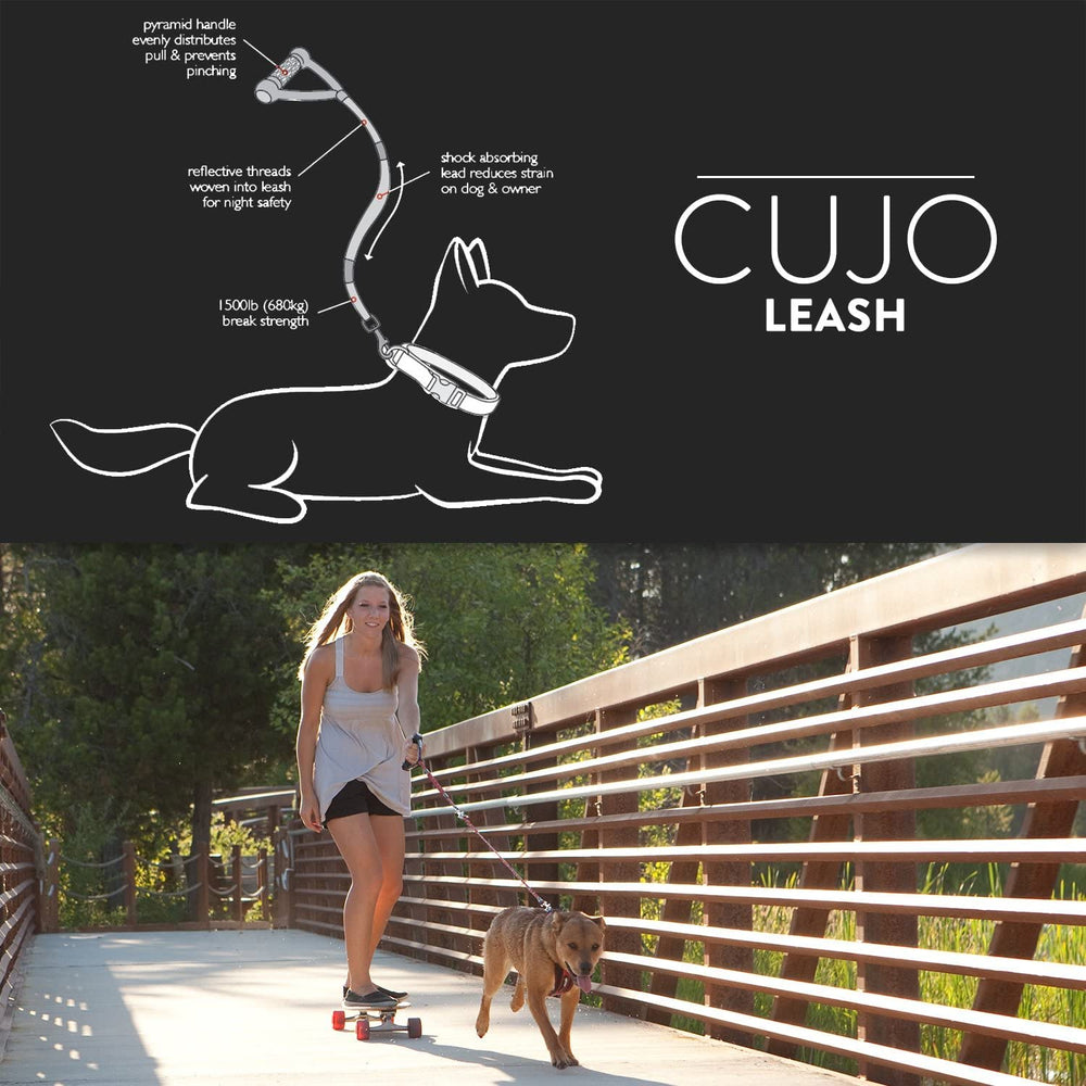 Cujo EzyDog – bordure réfléchissante pour une sécurité nocturne accrue