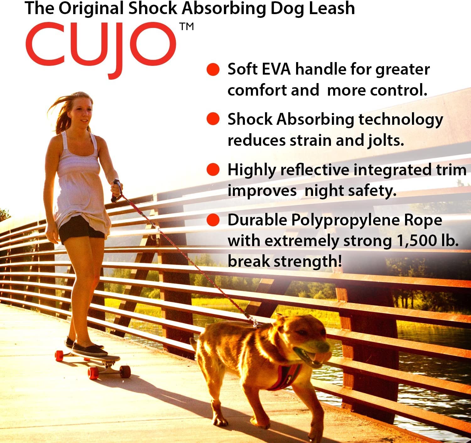 Laisse Cujo d'EzyDog idéale pour le contrôle sûr lors des sorties nocturnes.