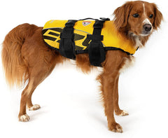 Gilet EzyDog DFD, réglage facile, ajustement sûr pour chien.