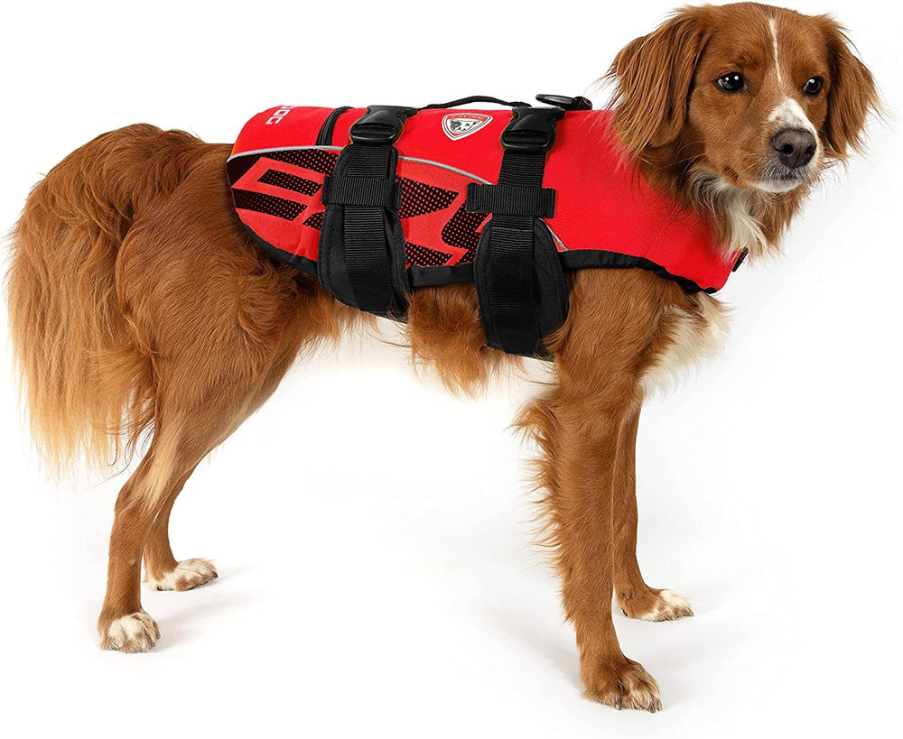 Gilet EzyDog DFD, vue arrière, maintien sûr et répartition équilibrée de la flottabilité.
