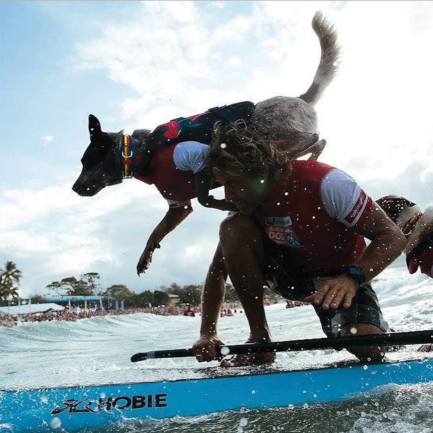 Gilet EzyDog DFD rouge – bord réfléchissant pour meilleure visibilité.