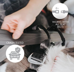 Boucle Dual SR EzyDog Drive : fermeture rapide et facile pour la mise en place.