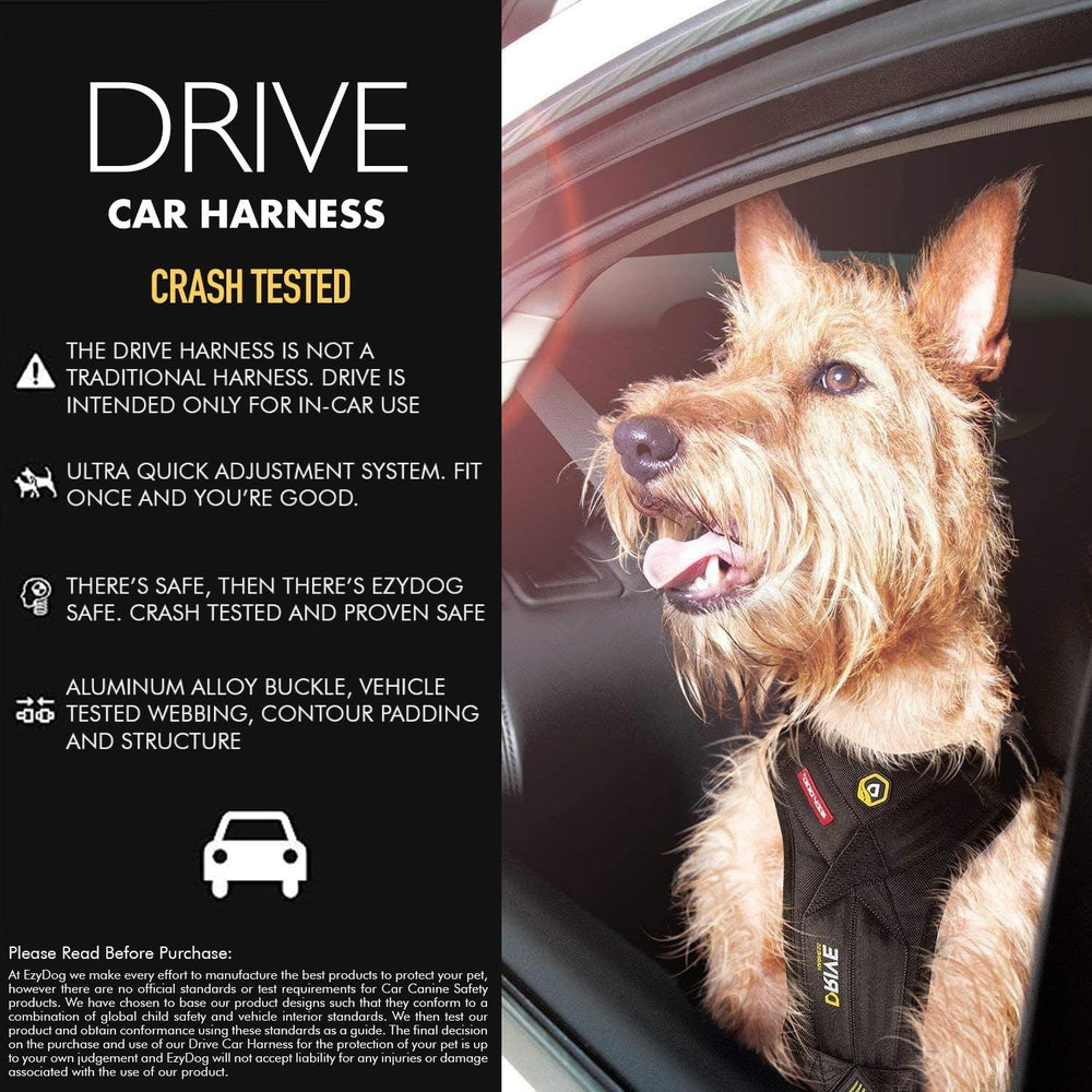 Compatibilité sangle voiture EzyDog Drive : installation simple sur la ceinture existante.