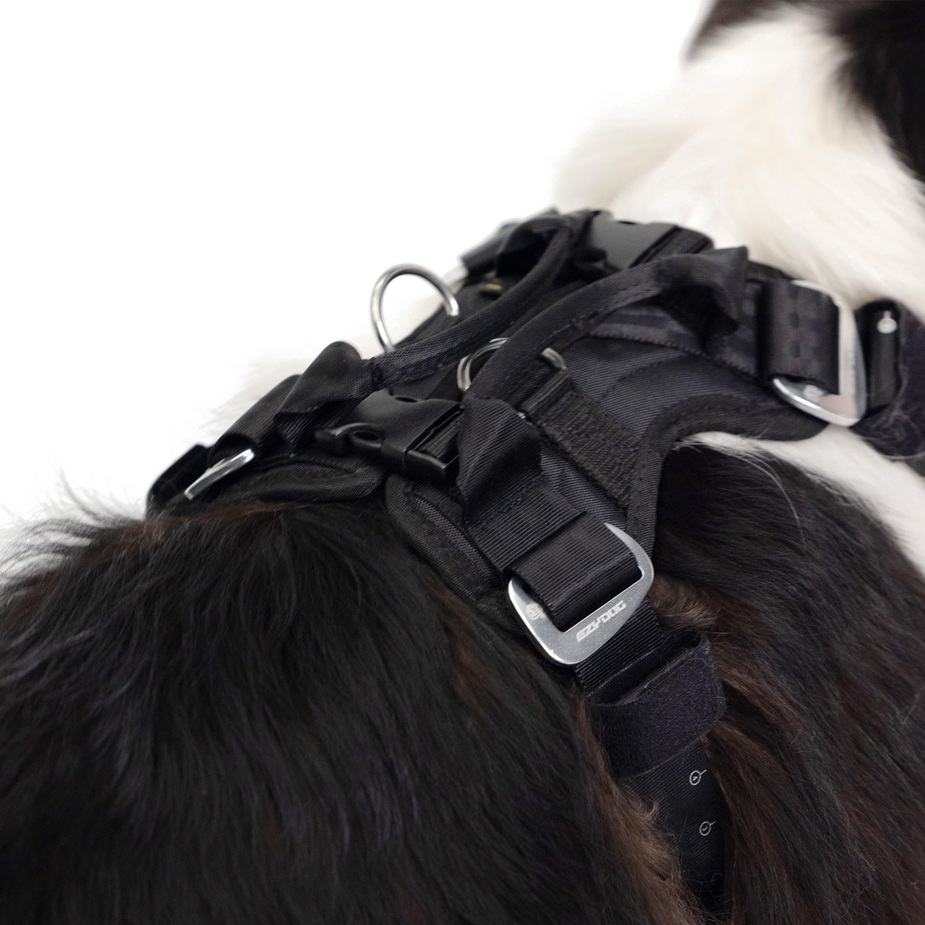 Conception ergonomique EzyDog Drive : ajuste personnalisé pour un chien actif et sûr.