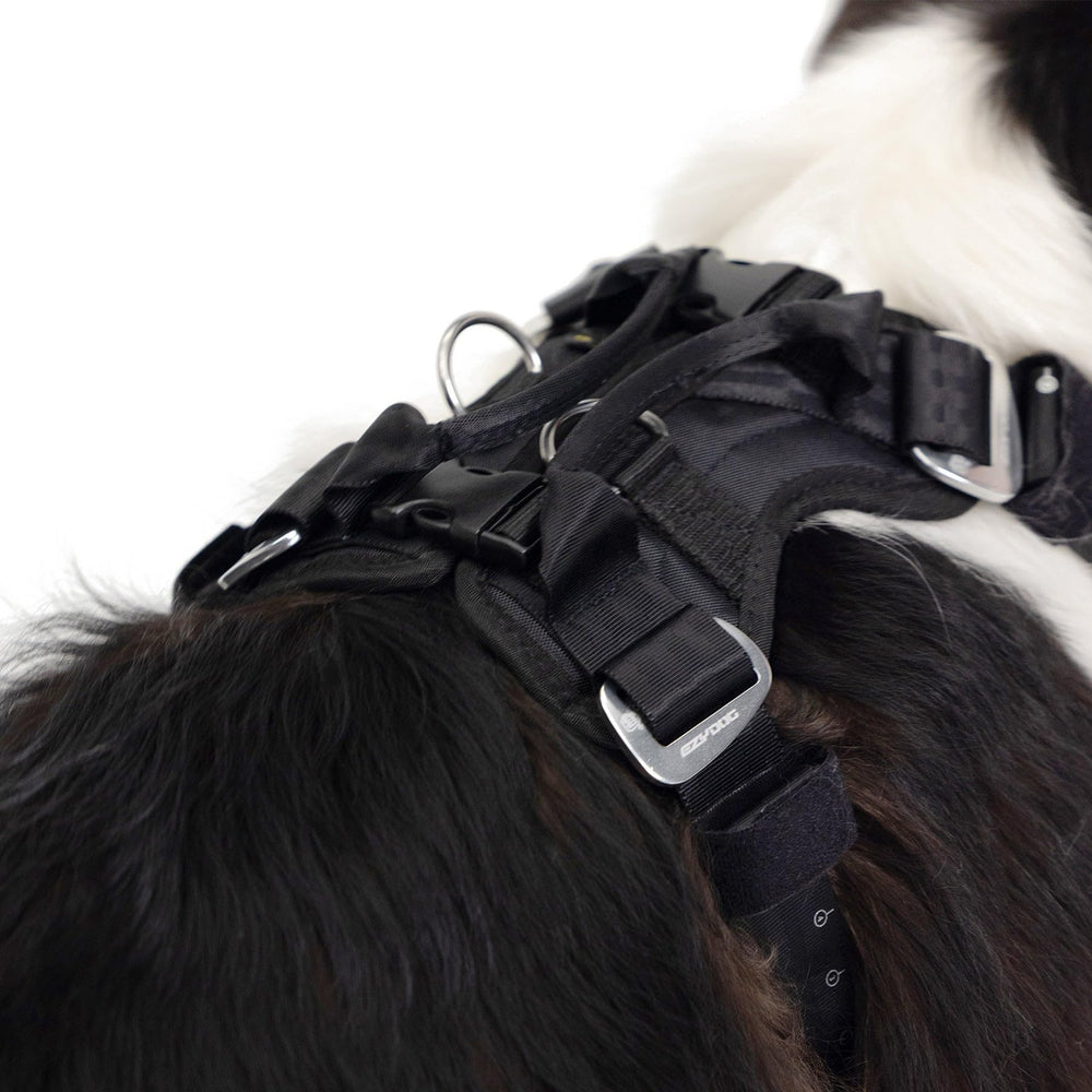 Conception ergonomique EzyDog Drive : ajuste personnalisé pour un chien actif et sûr.
