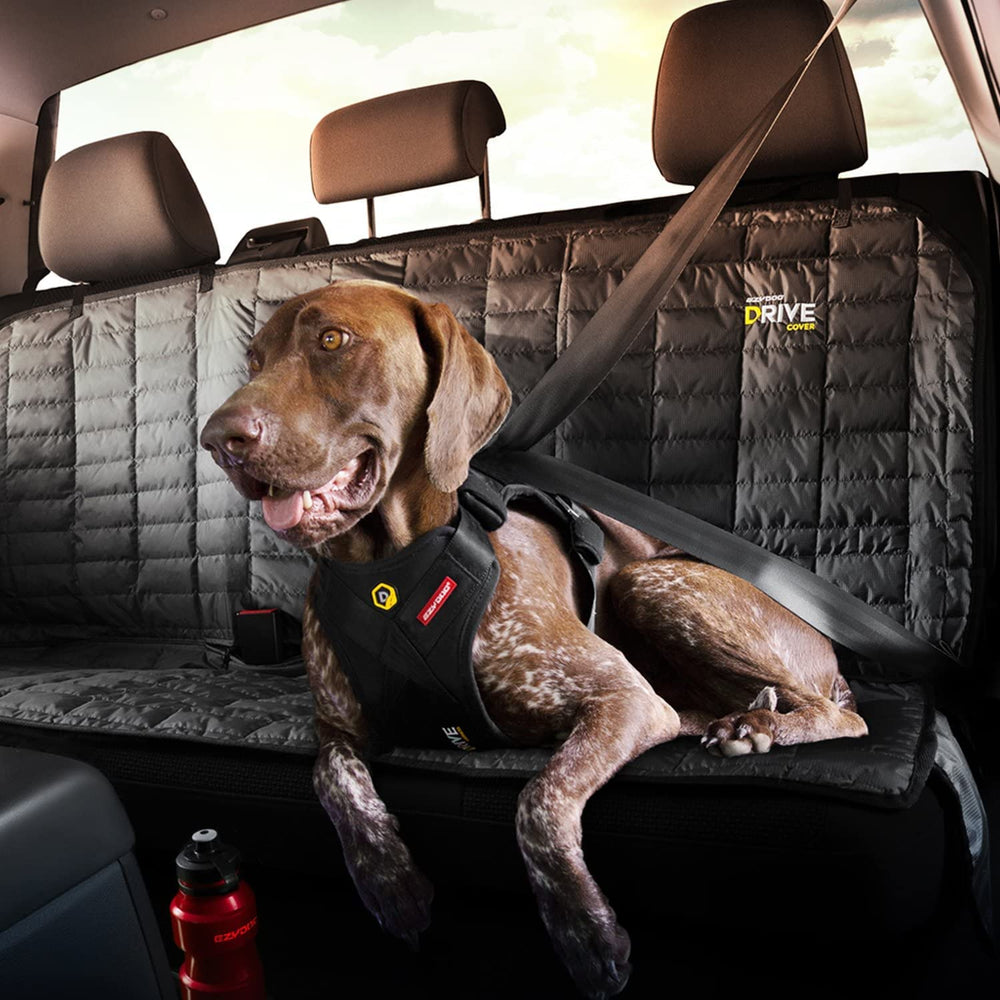Mise en place rapide EzyDog Drive : ajustement facile et rapide pour démarrer.