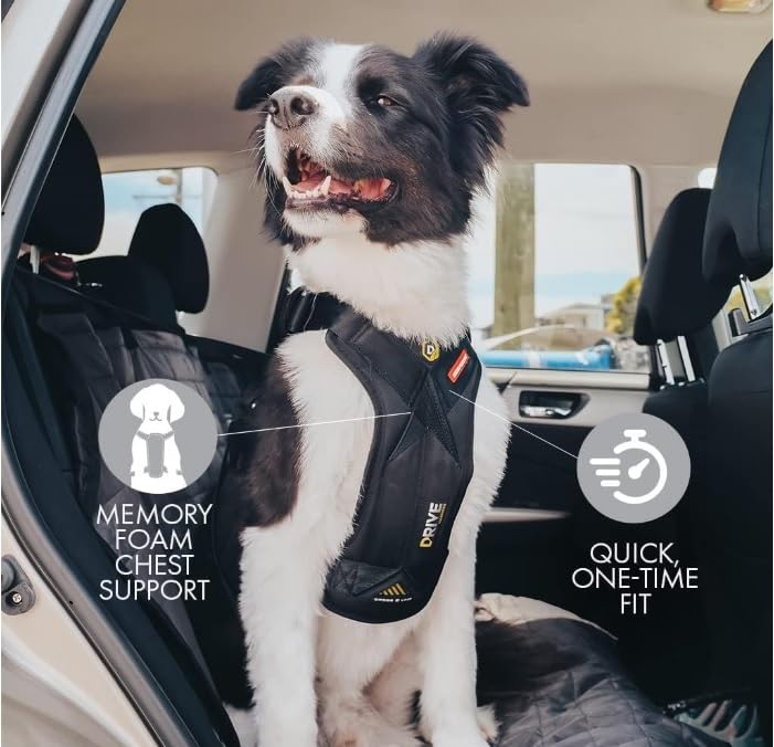 Poitrine rembourrée EzyDog Drive : confort personnalisé pour votre chien pendant les trajets.
