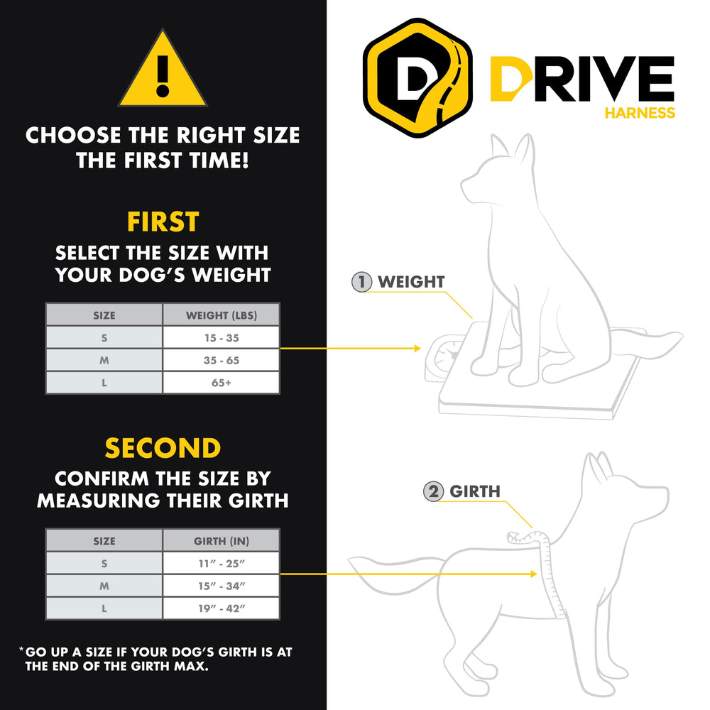 Technologie Crosslink EzyDog Drive : résistance et durabilité accrues pour la sécurité active.