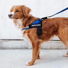 Boucle latérale simple EzyDog Express pour enfiler rapidement.