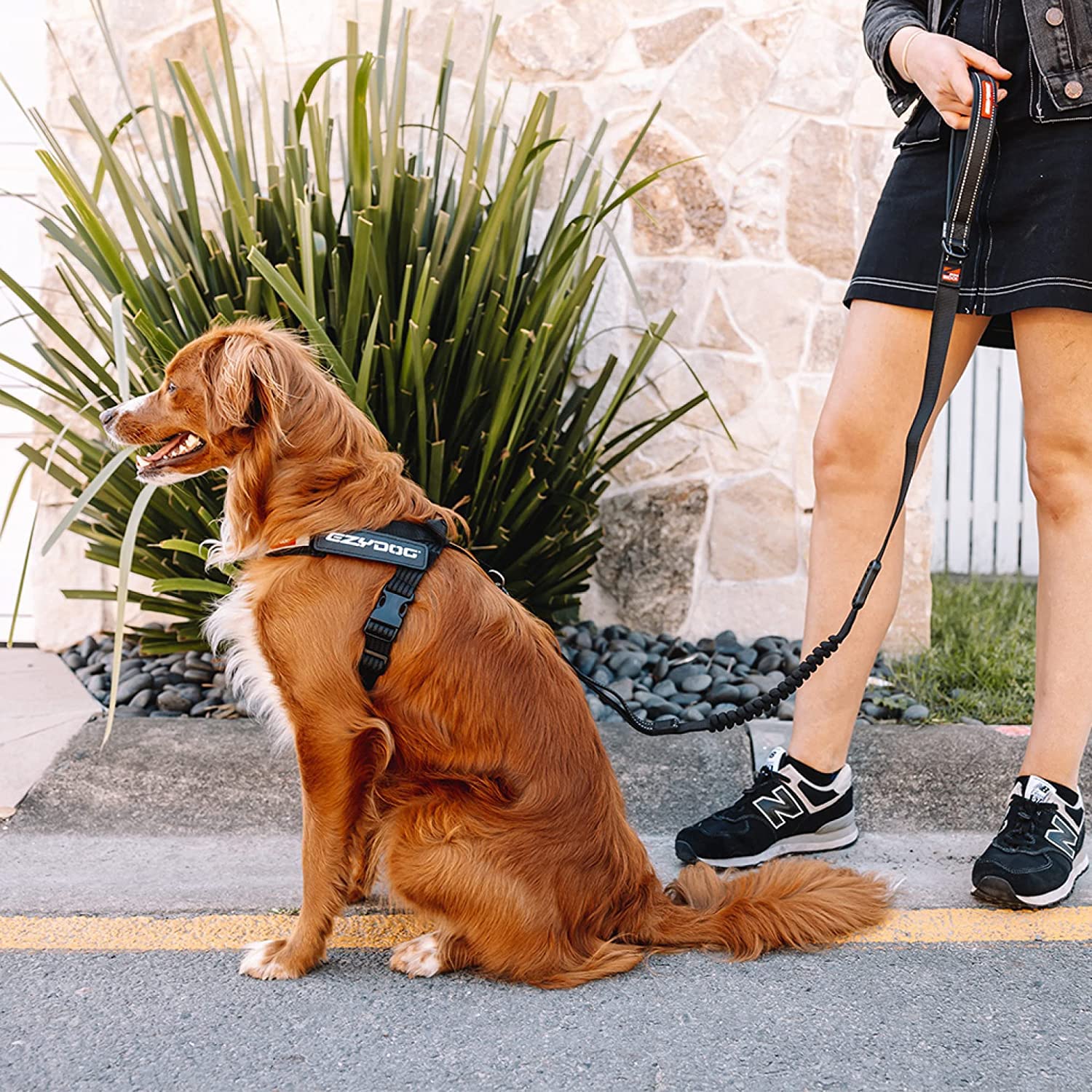 Harnais EzyDog Express rembourrage EVA pour un confort durable.