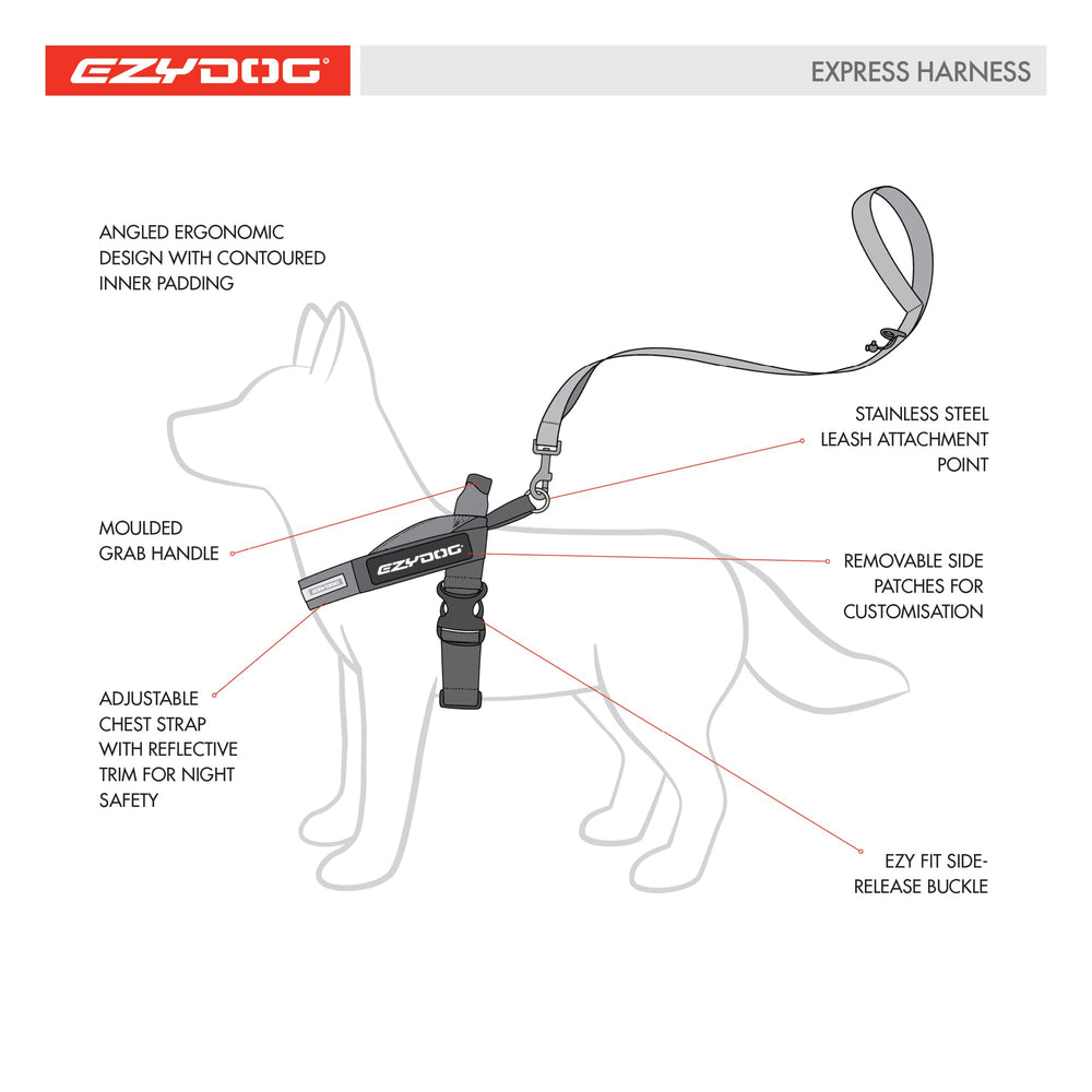 Compatibilité avec les accessoires EzyDog pour plus de polyvalence.