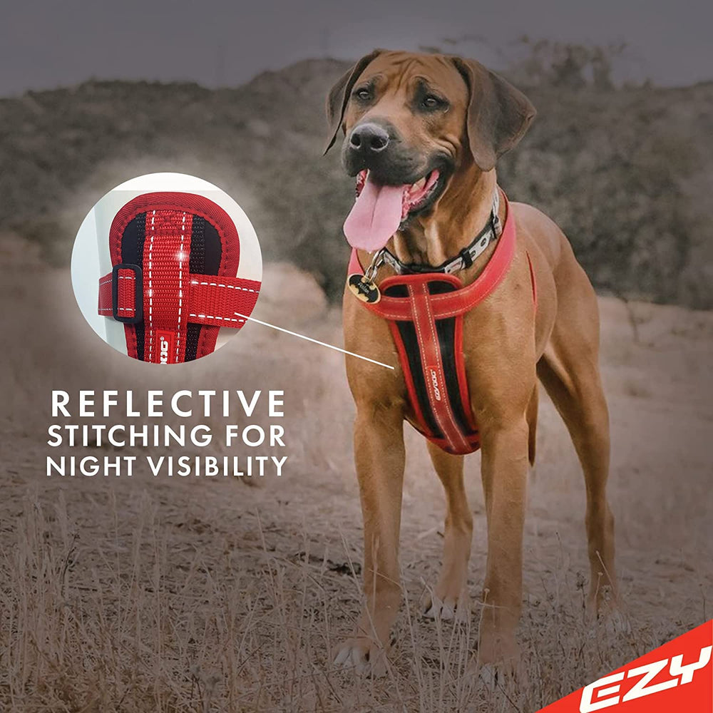 Harnais EzyDog Boucles rapides pour enfiler et retirer rapidement.