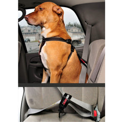 EzyDog harnais chien-compatible assure une fixation sûre.