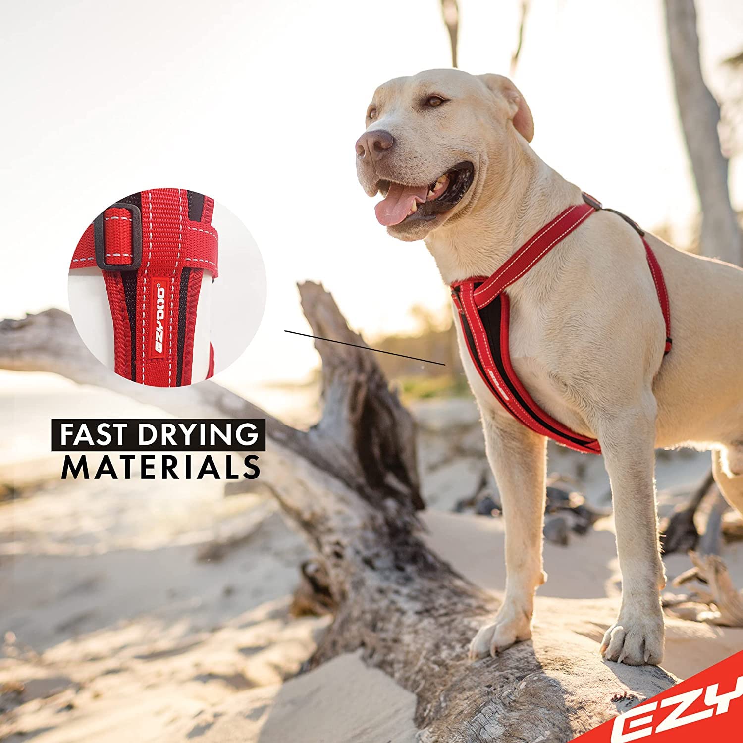 Harnais EzyDog Contrôle et Confort pour promenades faciles et prévisibles.