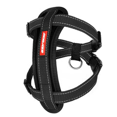 Harnais EzyDog poitrine ergonomique pour promenades confortables et anti-tir.