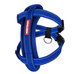 Harnais EzyDog Poitrine Plastron anti-traction pour sorties sécurisées et confortables.
