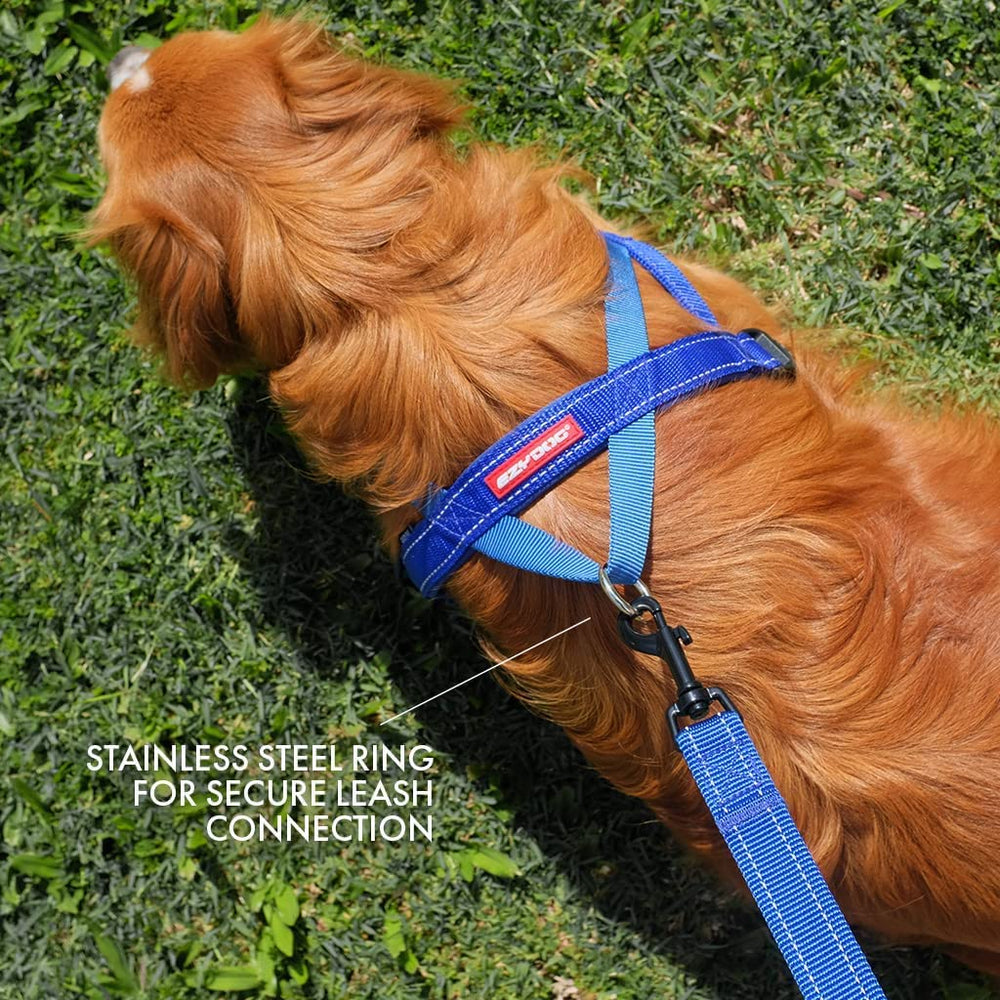 Harnais EzyDog Quick Fit sangle de réglage cachée pour éviter irritations