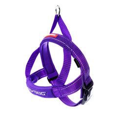 Harnais anti-traction EzyDog Quick Fit: contrôle sans tirage lors des promenades