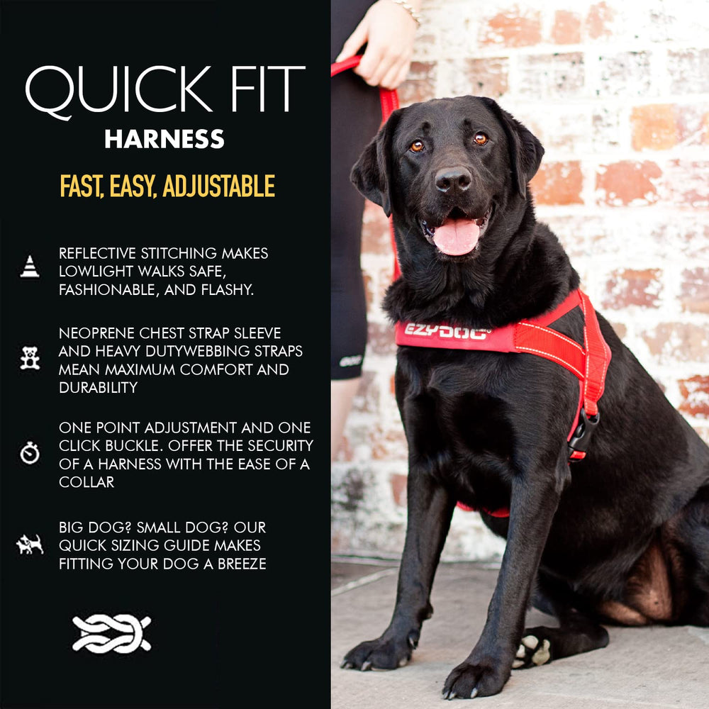 Détail de la boucle rapide du harnais EzyDog Quick Fit pour un démarrage en un clic.