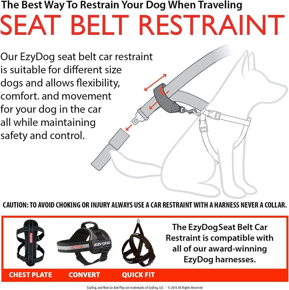 EzyDog sangle nylon résistance 2400lb pour durabilité et sécurité.