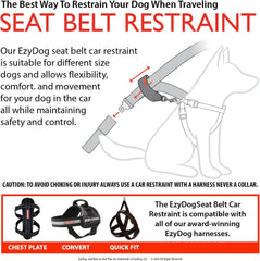 EzyDog sangle nylon résistance 2400lb pour durabilité et sécurité.