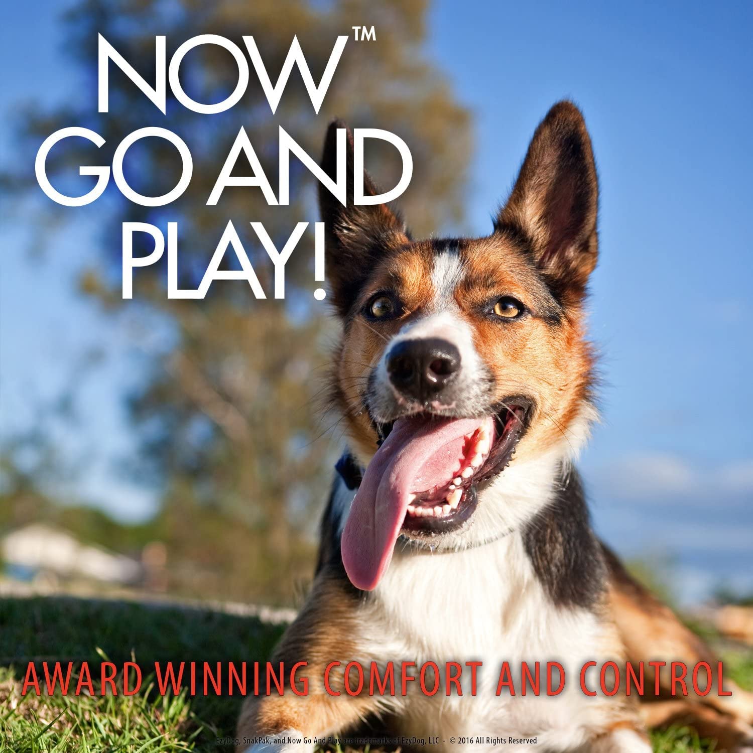 ÉzyDog SnakPak – compatible avec nos laisses et harnais pour une expérience complète.
