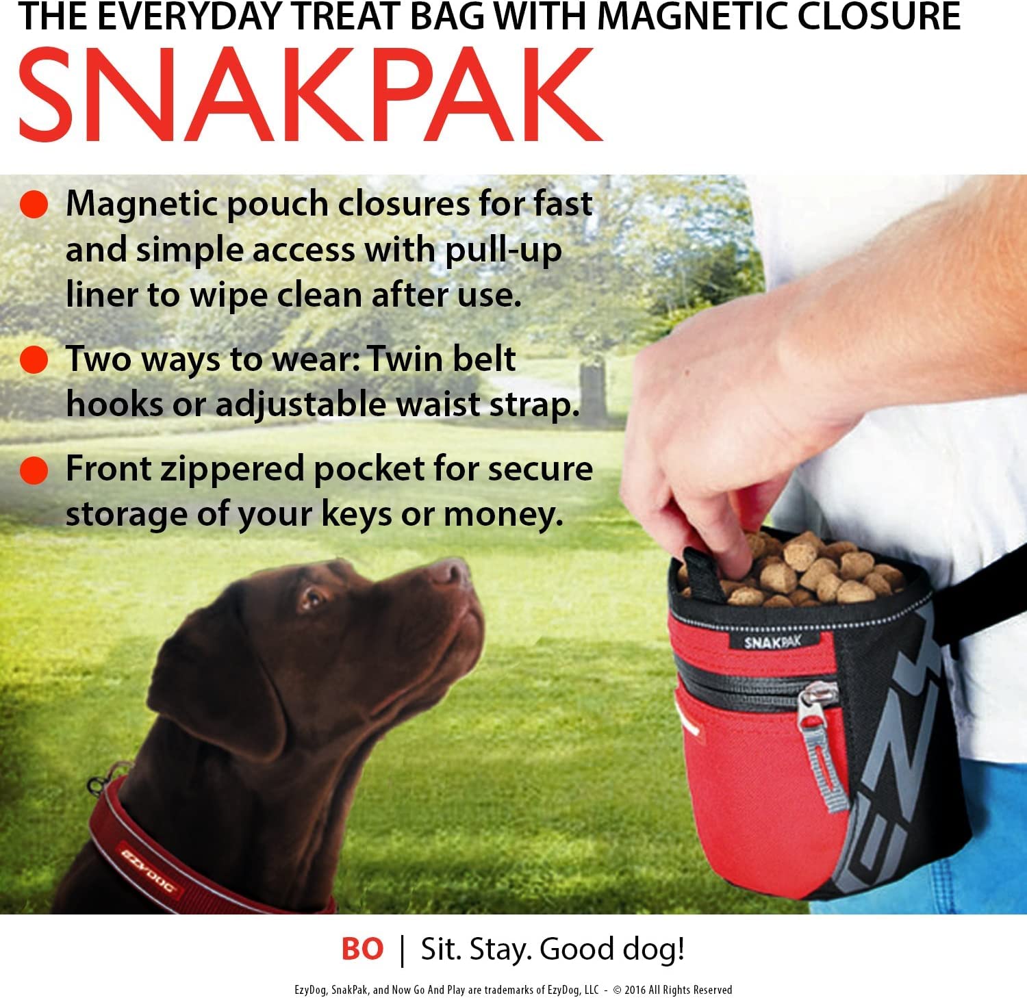 ÉzyDog SnakPak – garniture réfléchissante pour plus de visibilité nocturne.
