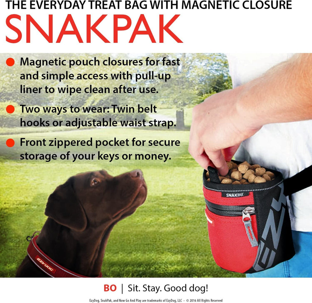 ÉzyDog SnakPak – garniture réfléchissante pour plus de visibilité nocturne.
