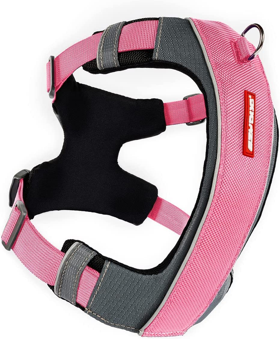 Harnais EzyDog X-Link avec attache avant pour un contrôle précis lors du dressage.