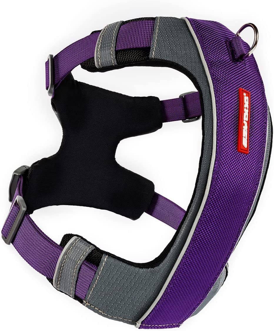 Harnais EzyDog X-Link avec attache avant pour un contrôle précis lors des promenades.
