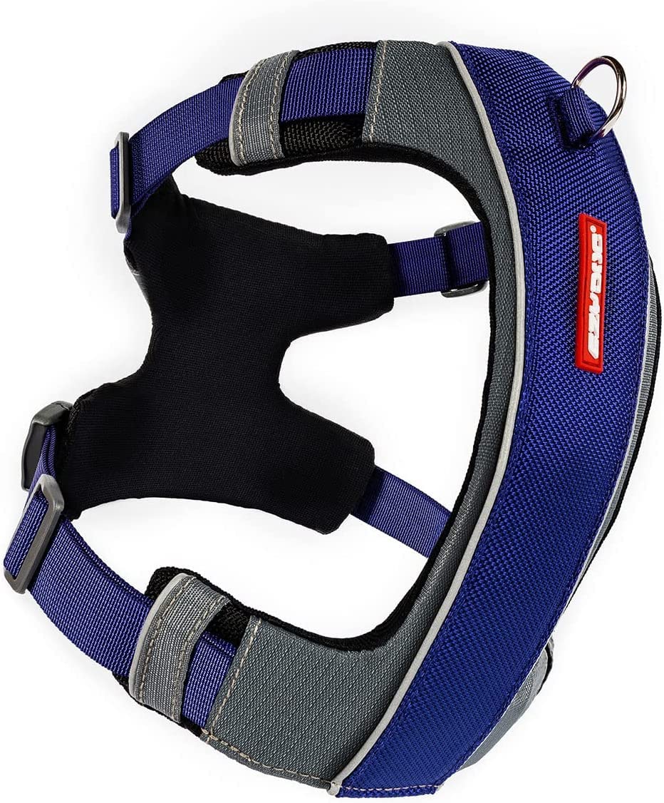 Harnais EzyDog X-Link avec attache avant pour un contrôle précis.