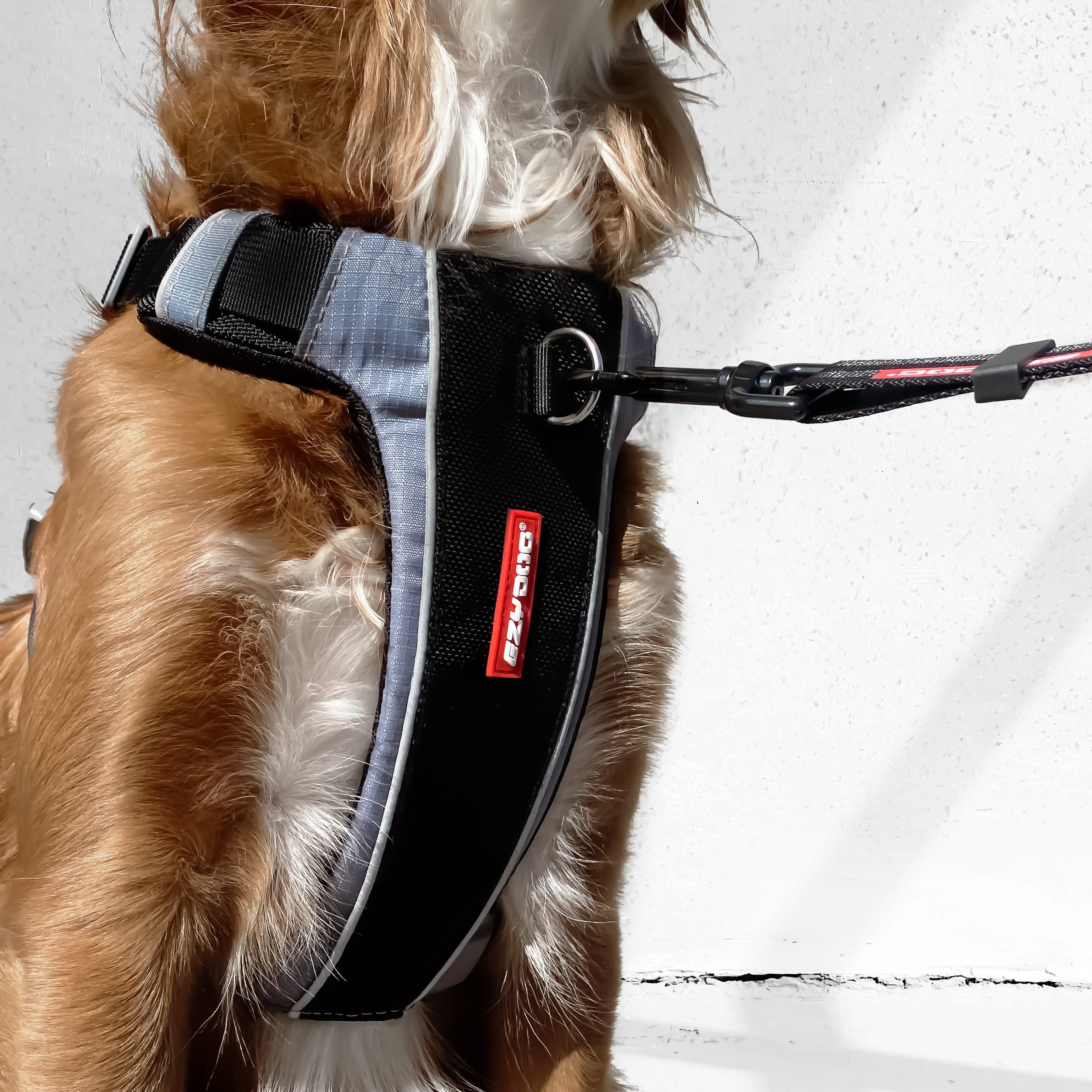 Harnais EzyDog X-Link avec emplacement d’attache lumineux pour sécurité accrue.