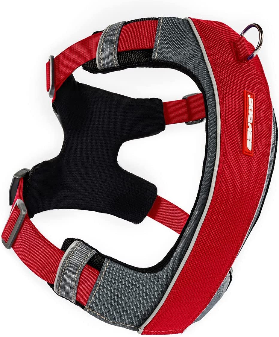 Harnais EzyDog X-Link rouge réfléchissant, confort et visibilité.