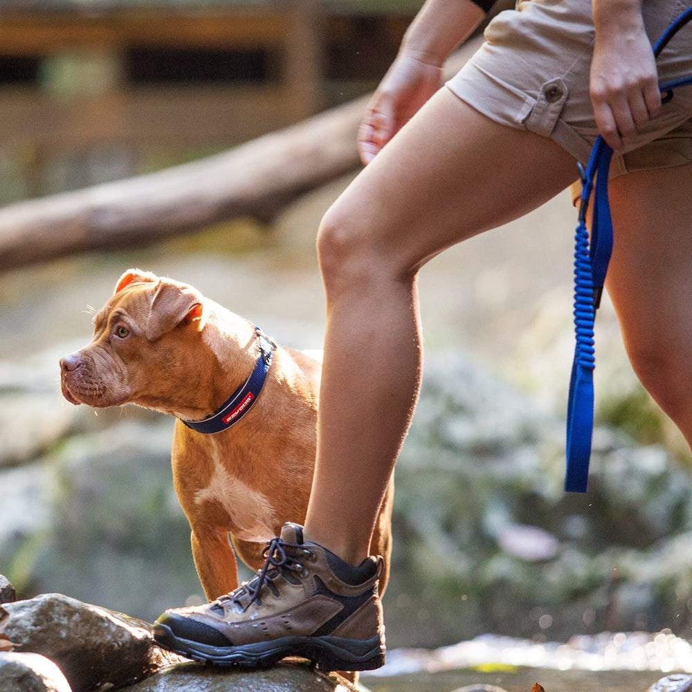 Anneau en D intégré EzyDog Zero Shock pour accrocher des clés ou accessoires.